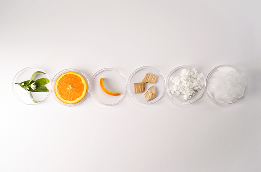 5 Innovative Fashion Materials- Made from FOOD BY-PRODUCTS