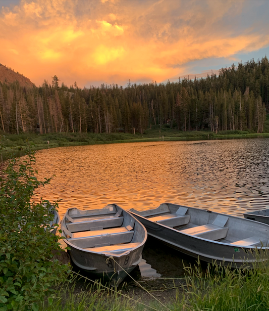 Nature Makes You Happy- It's Science