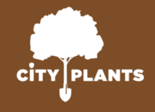 Planting trees is not just for the forest
