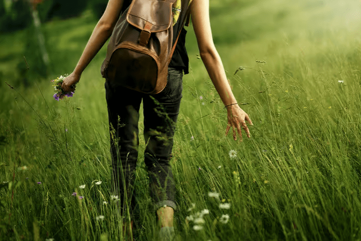 Take a walk, lower your stress- its science!