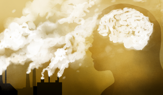 Pollution linked to mental health problems